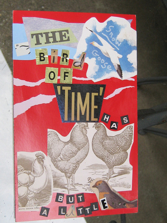 Bird of Time Postcard (B)